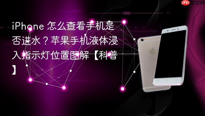 iphone 怎么查看手机是否进水？苹果手机液体浸入指示灯位置图解【科普】
