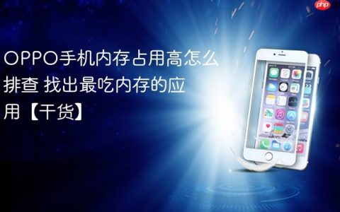 OPPO手机内存占用高怎么排查 找出最吃内存的应用【干货】
