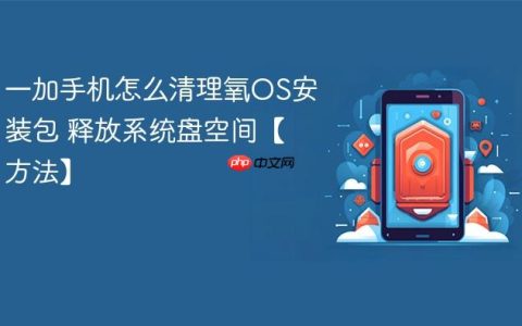 一加手机怎么清理氧OS安装包 释放系统盘空间【方法】