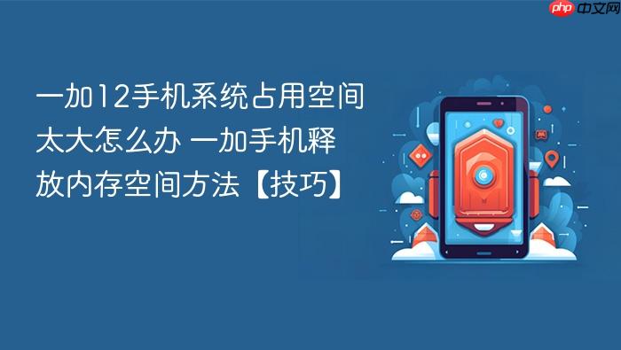 一加12手机系统占用空间太大怎么办 一加手机释放内存空间方法【技巧】