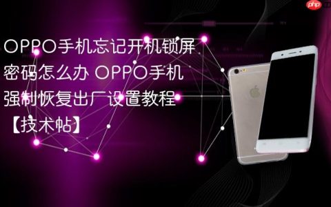 OPPO手机忘记开机锁屏密码怎么办 OPPO手机强制恢复出厂设置教程【技术帖】