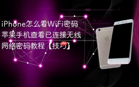 iPhone怎么看WiFi密码 苹果手机查看已连接无线网络密码教程【技巧】