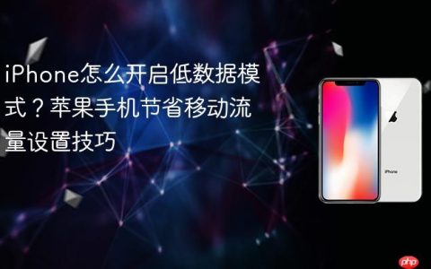 iPhone怎么开启低数据模式？苹果手机节省移动流量设置技巧