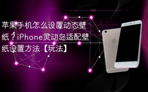 苹果手机怎么设置动态壁纸？iPhone灵动岛适配壁纸设置方法【玩法】
