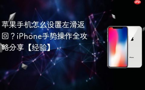苹果手机怎么设置左滑返回？iPhone手势操作全攻略分享【经验】