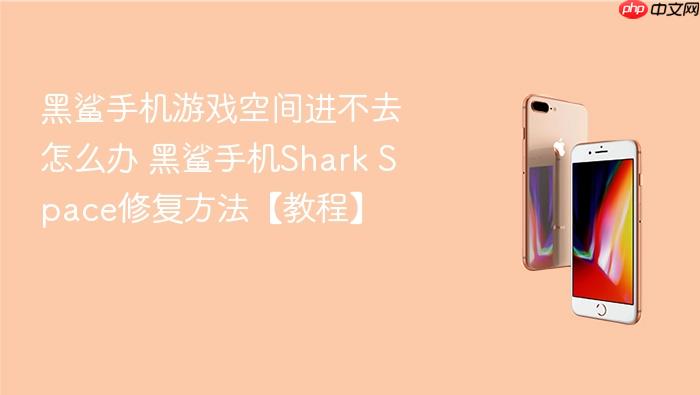 黑鲨手机游戏空间进不去怎么办 黑鲨手机shark space修复方法【教程】