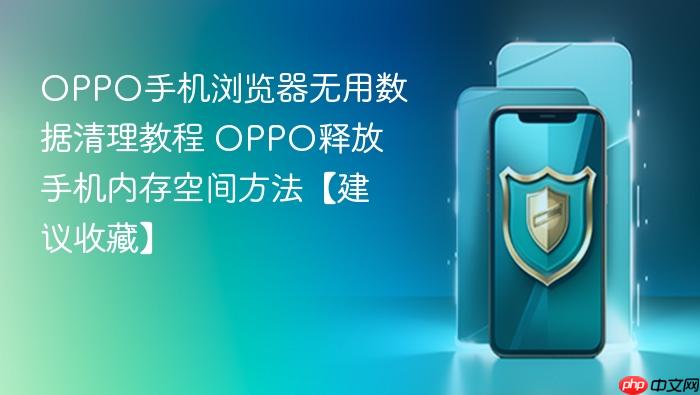 oppo手机浏览器无用数据清理教程 oppo释放手机内存空间方法【建议收藏】