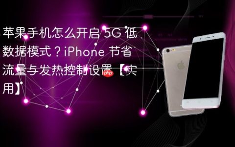 苹果手机怎么开启 5G 低数据模式？iPhone 节省流量与发热控制设置【实用】
