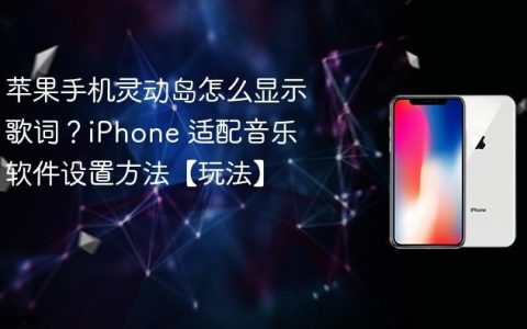苹果手机灵动岛怎么显示歌词？iPhone 适配音乐软件设置方法【玩法】