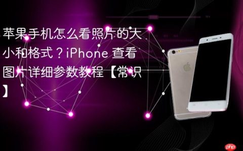 苹果手机怎么看照片的大小和格式？iPhone 查看图片详细参数教程【常识】