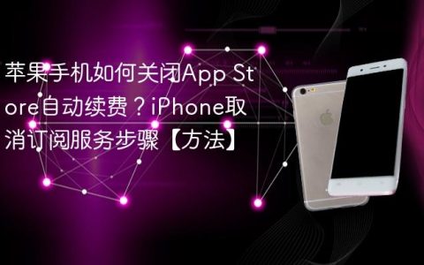 苹果手机如何关闭App Store自动续费？iPhone取消订阅服务步骤【方法】