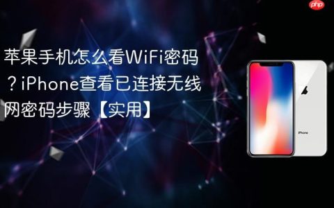 苹果手机怎么看WiFi密码？iPhone查看已连接无线网密码步骤【实用】