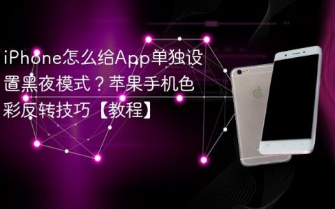iPhone怎么给App单独设置黑夜模式？苹果手机色彩反转技巧【教程】