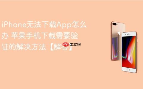 iPhone无法下载App怎么办 苹果手机下载需要验证的解决方法【解答】