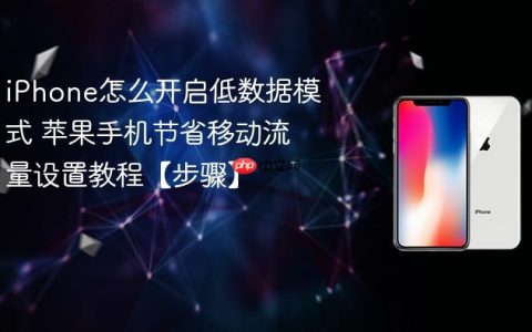 iPhone怎么开启低数据模式 苹果手机节省移动流量设置教程【步骤】