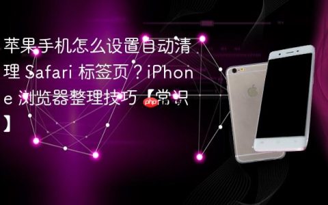 苹果手机怎么设置自动清理 Safari 标签页？iPhone 浏览器整理技巧【常识】