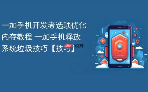 一加手机开发者选项优化内存教程 一加手机释放系统垃圾技巧【技巧】