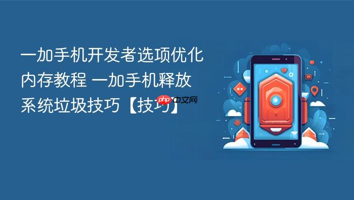 一加手机开发者选项优化内存教程 一加手机释放系统垃圾技巧【技巧】