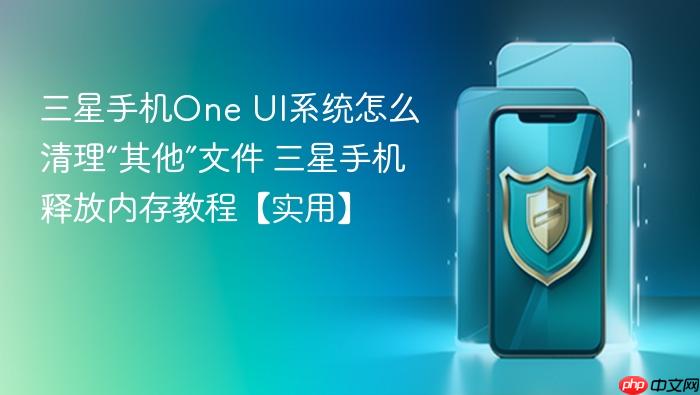 三星手机one ui系统怎么清理“其他”文件 三星手机释放内存教程【实用】