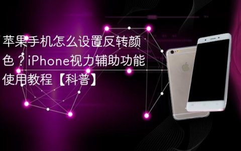 苹果手机怎么设置反转颜色？iPhone视力辅助功能使用教程【科普】