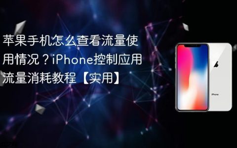 苹果手机怎么查看流量使用情况？iPhone控制应用流量消耗教程【实用】