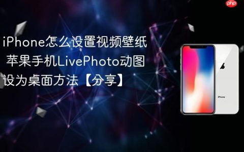 iPhone怎么设置视频壁纸 苹果手机LivePhoto动图设为桌面方法【分享】