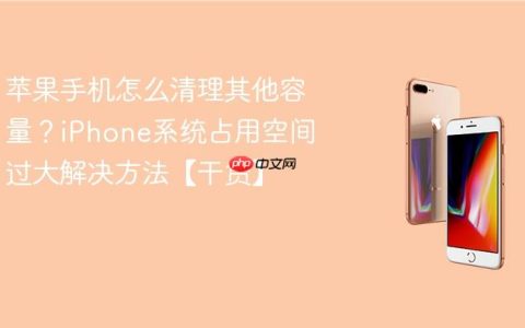 苹果手机怎么清理其他容量？iPhone系统占用空间过大解决方法【干货】