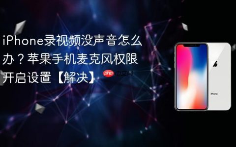 iPhone录视频没声音怎么办？苹果手机麦克风权限开启设置【解决】