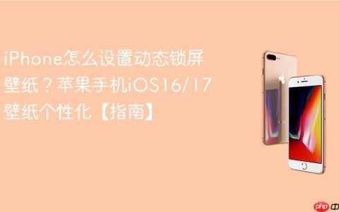 iPhone怎么设置动态锁屏壁纸？苹果手机iOS16/17壁纸个性化【指南】