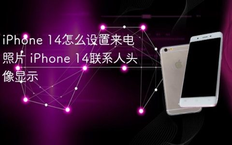 iPhone 14怎么设置来电照片 iPhone 14联系人头像显示