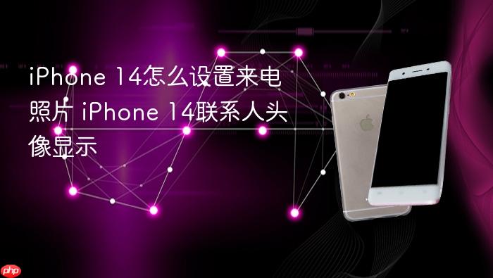 iphone 14怎么设置来电照片 iphone 14联系人头像显示