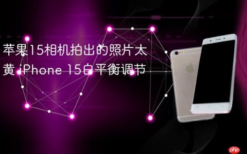 苹果15相机拍出的照片太黄 iPhone 15白平衡调节