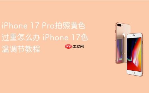 iPhone 17 Pro拍照黄色过重怎么办 iPhone 17色温调节教程