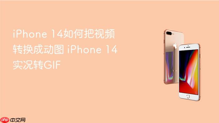 iphone 14如何把视频转换成动图 iphone 14实况转gif