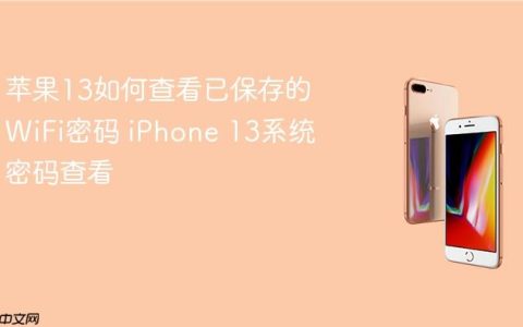 苹果13如何查看已保存的WiFi密码 iPhone 13系统密码查看