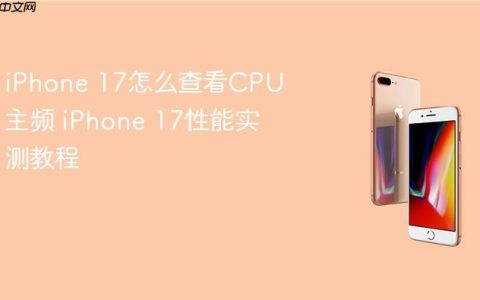 iPhone 17怎么查看CPU主频 iPhone 17性能实测教程