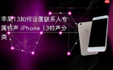 苹果13如何设置联系人专属铃声 iPhone 13铃声分类