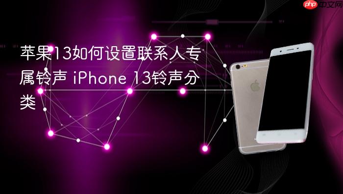 苹果13如何设置联系人专属铃声 iphone 13铃声分类