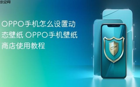 OPPO手机怎么设置动态壁纸 OPPO手机壁纸商店使用教程