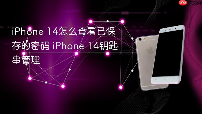 iphone 14怎么查看已保存的密码 iphone 14钥匙串管理