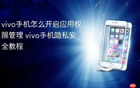 vivo手机怎么开启应用权限管理 vivo手机隐私安全教程