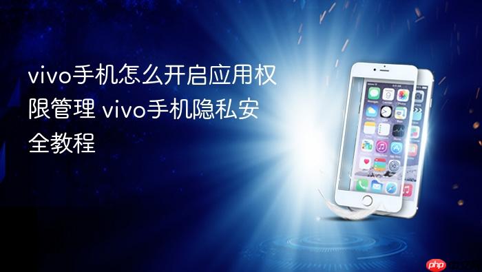 vivo手机怎么开启应用权限管理 vivo手机隐私安全教程