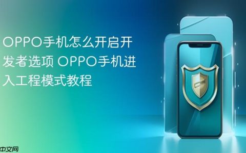 OPPO手机怎么开启开发者选项 OPPO手机进入工程模式教程