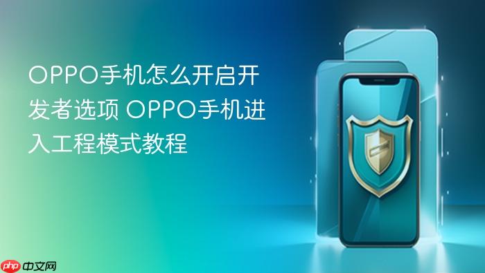 oppo手机怎么开启开发者选项 oppo手机进入工程模式教程