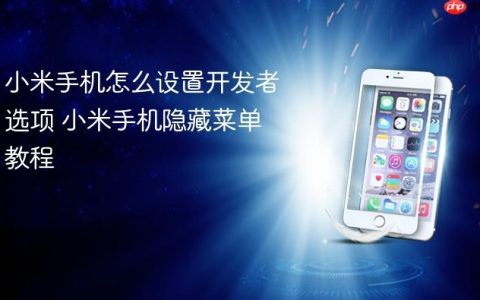 小米手机怎么设置开发者选项 小米手机隐藏菜单教程