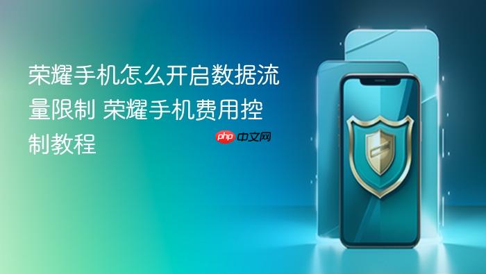 荣耀手机怎么开启数据流量限制 荣耀手机费用控制教程