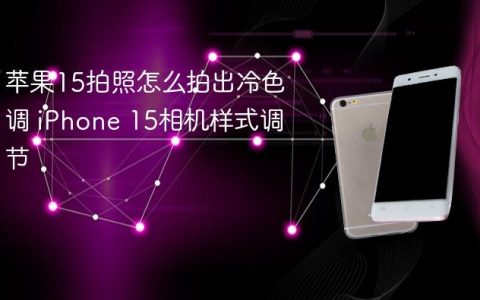 苹果15拍照怎么拍出冷色调 iPhone 15相机样式调节