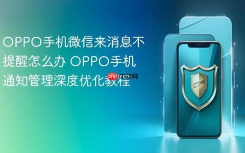 OPPO手机微信来消息不提醒怎么办 OPPO手机通知管理深度优化教程