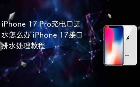 iPhone 17 Pro充电口进水怎么办 iPhone 17接口排水处理教程