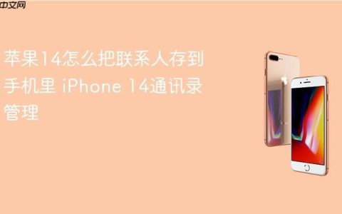 苹果14怎么把联系人存到手机里 iPhone 14通讯录管理